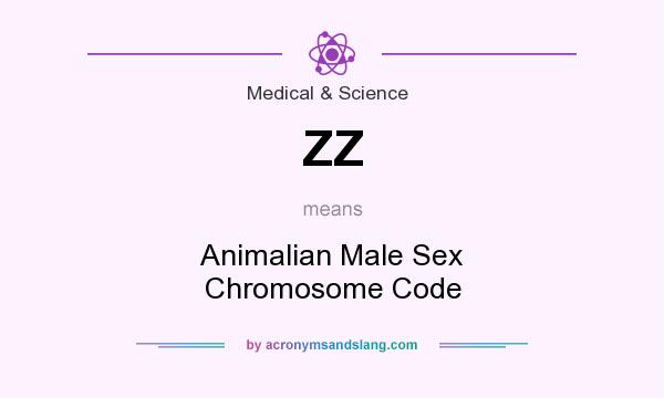 What does ZZ mean? It stands for Animalian Male Sex Chromosome Code