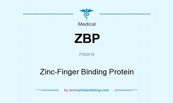 What does ZBP mean? It stands for Zinc-Finger Binding Protein