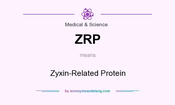 What does ZRP mean? It stands for Zyxin-Related Protein
