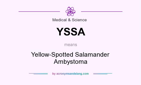 What does YSSA mean? It stands for Yellow-Spotted Salamander Ambystoma
