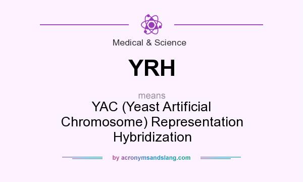 What does YRH mean? It stands for YAC (Yeast Artificial Chromosome) Representation Hybridization
