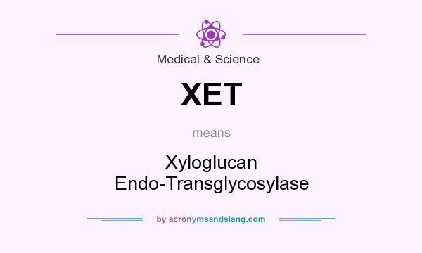 What does XET mean? It stands for Xyloglucan Endo-Transglycosylase