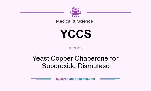 What does YCCS mean? It stands for Yeast Copper Chaperone for Superoxide Dismutase