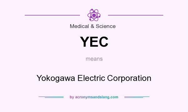 What does YEC mean? It stands for Yokogawa Electric Corporation