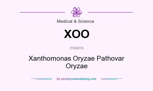 What does XOO mean? It stands for Xanthomonas Oryzae Pathovar Oryzae