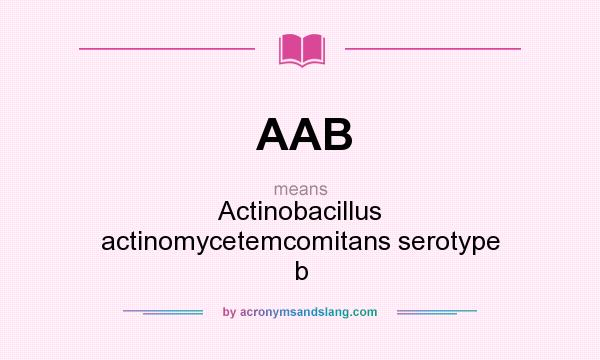 What does AAB mean? It stands for Actinobacillus actinomycetemcomitans serotype b