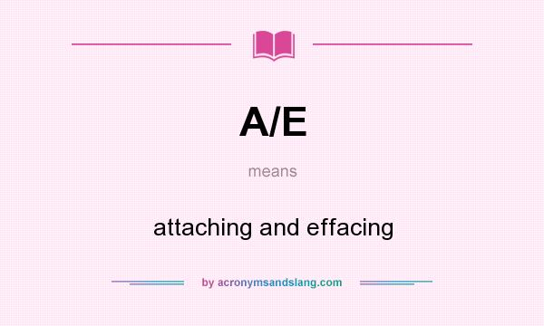 What does A/E mean? It stands for attaching and effacing