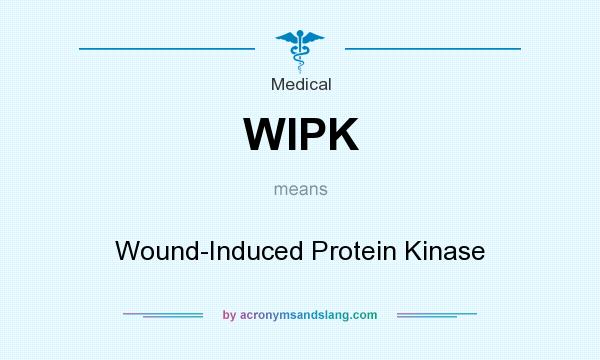 What does WIPK mean? It stands for Wound-Induced Protein Kinase