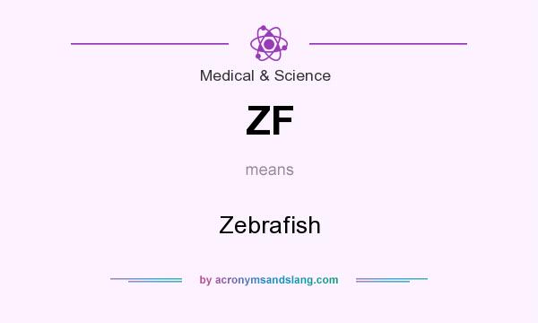 What does ZF mean? It stands for Zebrafish
