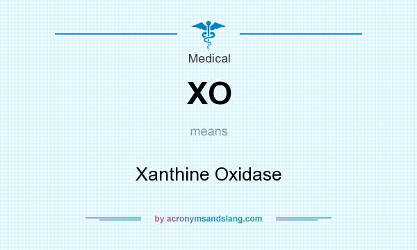 What does XO mean? It stands for Xanthine Oxidase