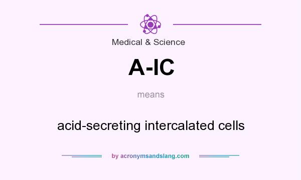 What does A-IC mean? It stands for acid-secreting intercalated cells