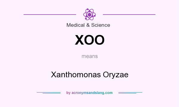 What does XOO mean? It stands for Xanthomonas Oryzae