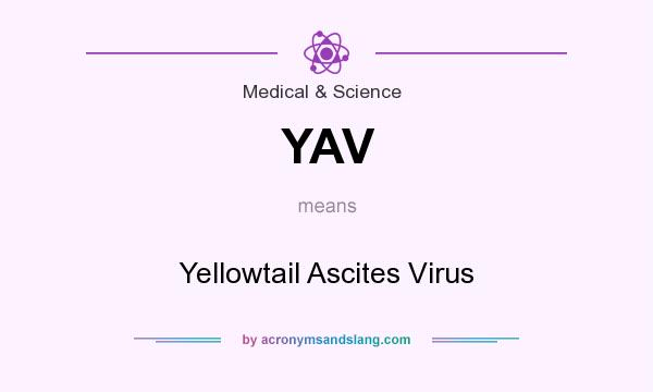 What does YAV mean? It stands for Yellowtail Ascites Virus