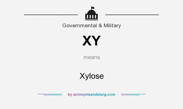 What does XY mean? It stands for Xylose