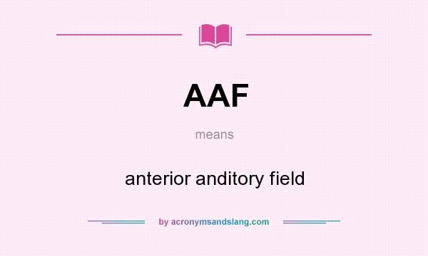 What does AAF mean? It stands for anterior anditory field