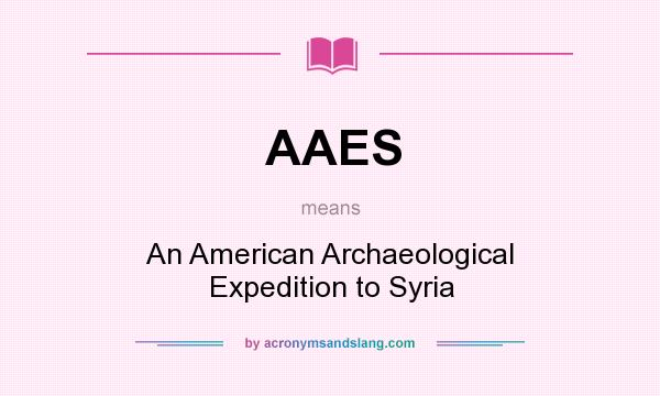 What does AAES mean? It stands for An American Archaeological Expedition to Syria