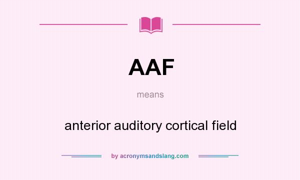 What does AAF mean? It stands for anterior auditory cortical field