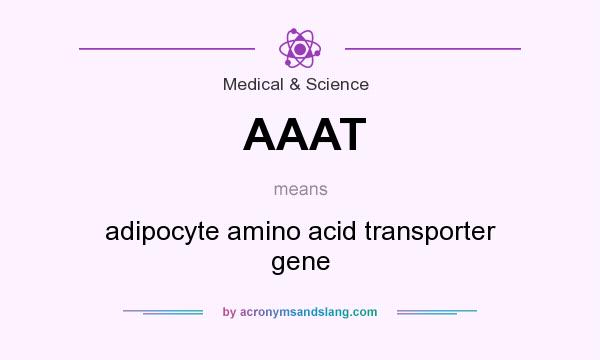 What does AAAT mean? It stands for adipocyte amino acid transporter gene