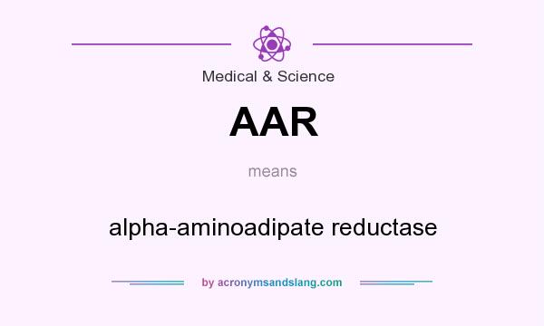 What does AAR mean? It stands for alpha-aminoadipate reductase