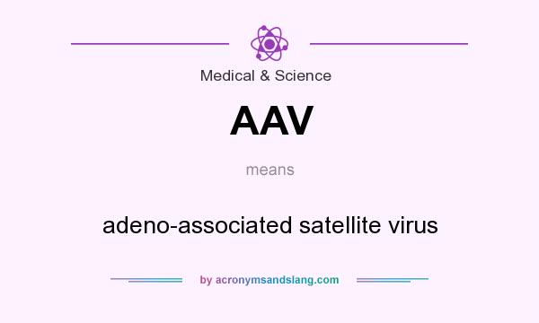 What does AAV mean? It stands for adeno-associated satellite virus