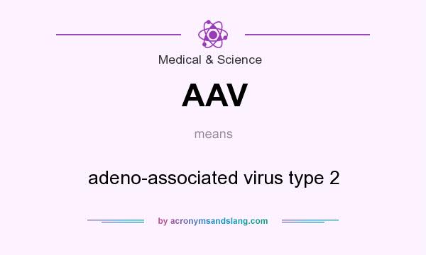 What does AAV mean? It stands for adeno-associated virus type 2