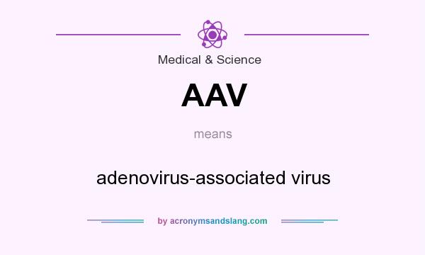 What does AAV mean? It stands for adenovirus-associated virus