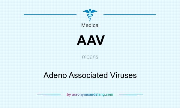 What does AAV mean? It stands for Adeno Associated Viruses