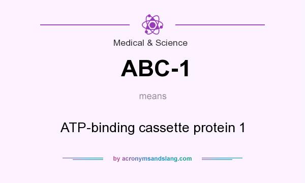 What does ABC-1 mean? It stands for ATP-binding cassette protein 1