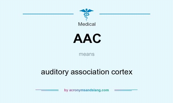 What does AAC mean? It stands for auditory association cortex