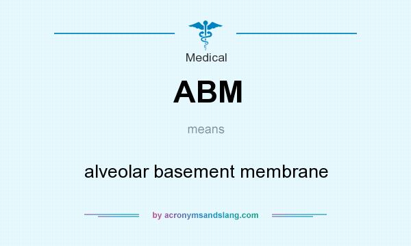 What does ABM mean? It stands for alveolar basement membrane
