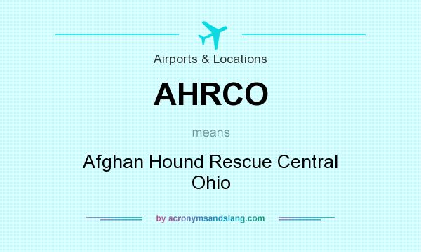 What does AHRCO mean? It stands for Afghan Hound Rescue Central Ohio