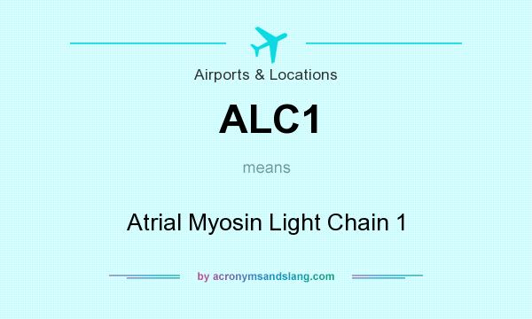 What does ALC1 mean? It stands for Atrial Myosin Light Chain 1