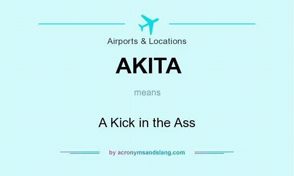 What does AKITA mean? It stands for A Kick in the Ass