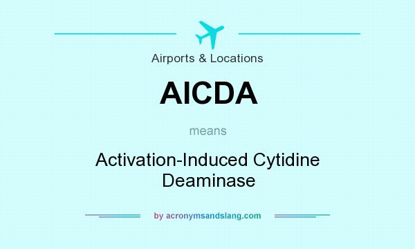 What does AICDA mean? It stands for Activation-Induced Cytidine Deaminase