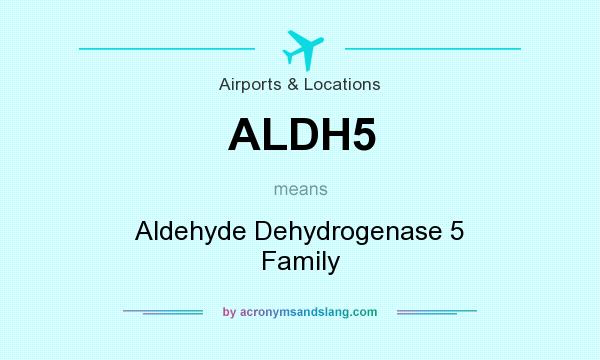 What does ALDH5 mean? It stands for Aldehyde Dehydrogenase 5 Family