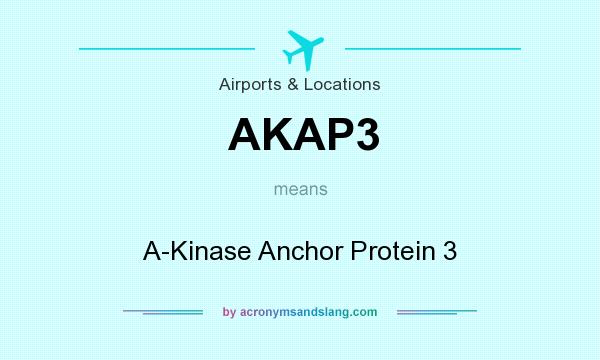 What does AKAP3 mean? It stands for A-Kinase Anchor Protein 3