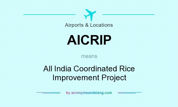 What does AICRIP mean? It stands for All India Coordinated Rice Improvement Project