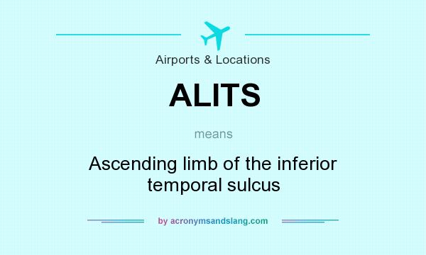 What does ALITS mean? It stands for Ascending limb of the inferior temporal sulcus