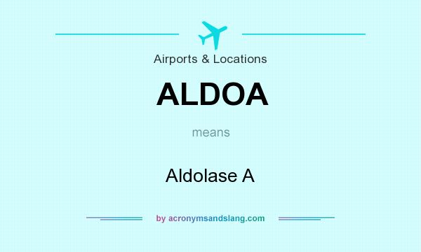 What does ALDOA mean? It stands for Aldolase A