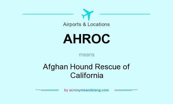 What does AHROC mean? It stands for Afghan Hound Rescue of California