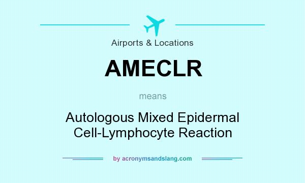 What does AMECLR mean? It stands for Autologous Mixed Epidermal Cell-Lymphocyte Reaction