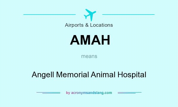 What does AMAH mean? It stands for Angell Memorial Animal Hospital