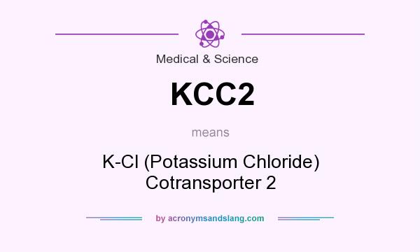 What does KCC2 mean? It stands for K-Cl (Potassium Chloride) Cotransporter 2