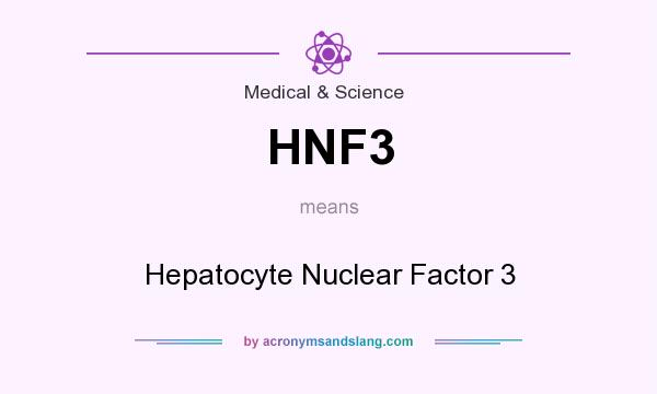 What does HNF3 mean? It stands for Hepatocyte Nuclear Factor 3