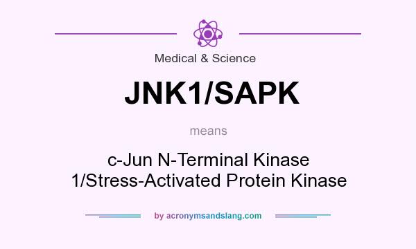 What does JNK1/SAPK mean? It stands for c-Jun N-Terminal Kinase 1/Stress-Activated Protein Kinase