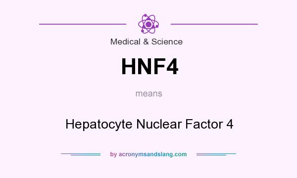 What does HNF4 mean? It stands for Hepatocyte Nuclear Factor 4