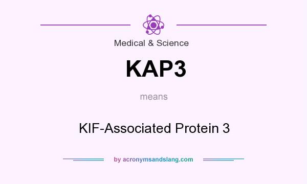What does KAP3 mean? It stands for KIF-Associated Protein 3