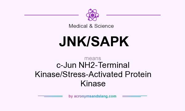 What does JNK/SAPK mean? It stands for c-Jun NH2-Terminal Kinase/Stress-Activated Protein Kinase