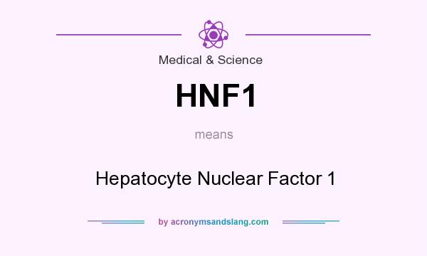 What does HNF1 mean? It stands for Hepatocyte Nuclear Factor 1