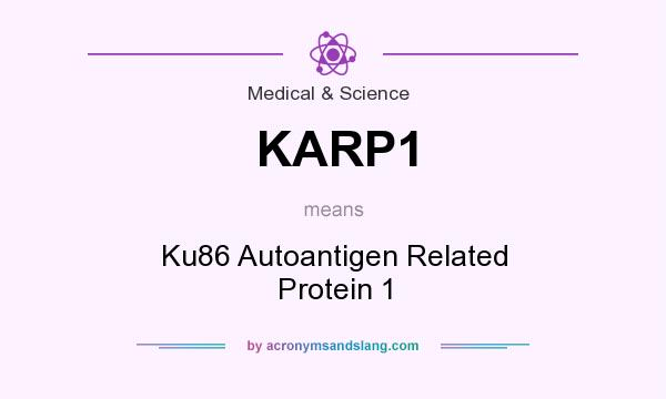 What does KARP1 mean? It stands for Ku86 Autoantigen Related Protein 1